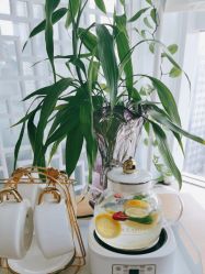 -荟草堂专业祛痘修护中心