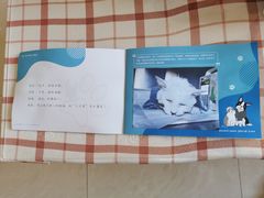 -纳吉亚猫专科动物医院博雅分院