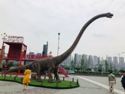 点击看大图 -恐龙探索乐园(磁器口店)