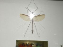 -上海昆虫博物馆