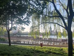 -莲花池公园