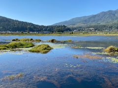 -腾冲北海湿地