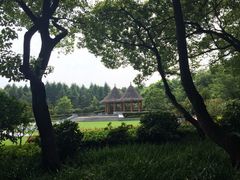 西郊宾馆沁香园-西郊宾馆·1921餐厅