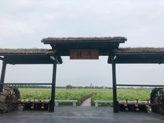 -漩门湾国家湿地公园