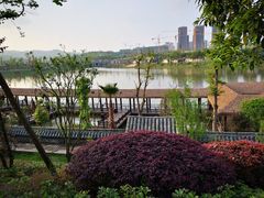 -枫香湖儿童公园