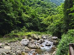 -西岭雪山大飞水景区