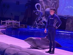 -华夏文旅海洋公园