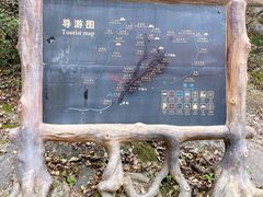 -王顺山国家森林公园