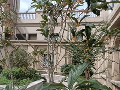 -奉贤东方美谷金汇敬老院·医护康复·日月星连锁(奉贤院)