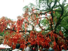 -国恩寺