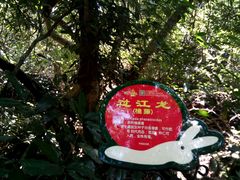-呀诺达热带雨林