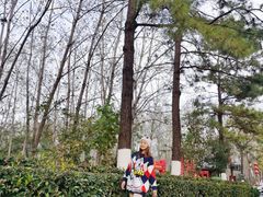 -合肥滨湖国家森林公园