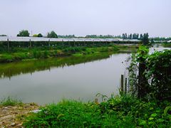 -马陆小张葡萄园农家乐