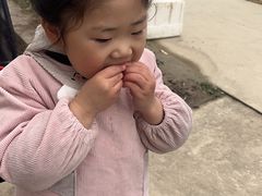 -喜杨洋草莓采摘园