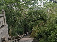 -灵岩山风景区