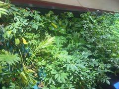-巴奴毛肚火锅(广益哥伦布店)