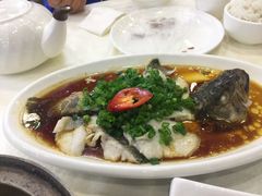 香葱芙蓉蒸鲈鱼-清心鸡沙田乳鸽店·非遗传承(粤垦路店)