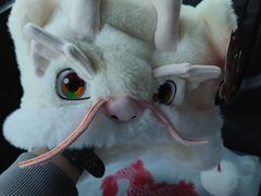 -中央广播电视总台(光华路办公区)