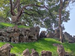 -绍兴鲁迅故里·沈园景区