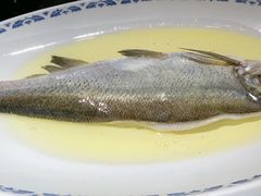 鸡汁长江白鱼-南京大牌档(青岛万象城店)