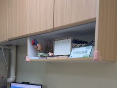 -全心全意连锁动物医院·微创中心·内科急重症·心脏专科(丰管路店)