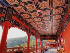 -东莞市大岭山森林公园