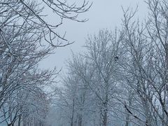 -北运河水利风景区