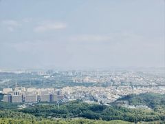 -大屏嶂森林公园