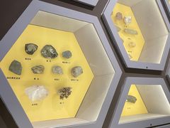 -湖南省地质博物馆