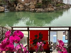 -静之湖度假区