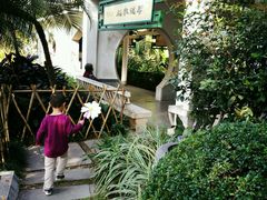 -晓港公园