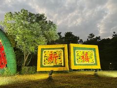 -金山植物公园