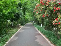 -桤木河湿地公园