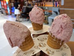 杨梅冰淇淋-野人先生现做冰淇淋(北京环宇荟店)