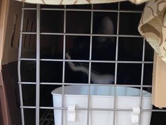 -纳吉亚猫专科动物医院·北北分院