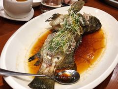 -頂好酒家·经典粤菜(海信广场店)