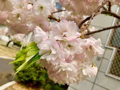 -中国石油大学（北京）(北京西校区)