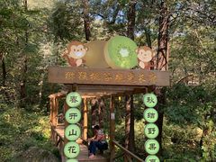 -大岭沟猕猴桃谷风景区