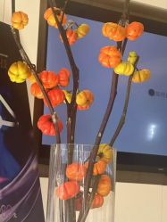 -AGE LOCK 锁龄美肌