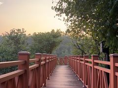 -小南山公园