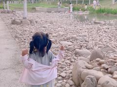 -皇粮浜湿地公园