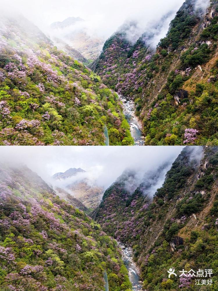 唐家河风景区好玩吗图片