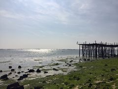 -北海金海湾红树林生态旅游区