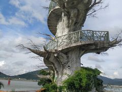 -芒洲湿地公园
