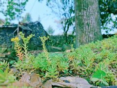 -许家山