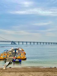 -星海水上乐园(星海广场圣亚店)
