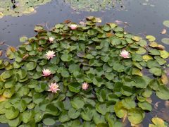 -国家植物园南园