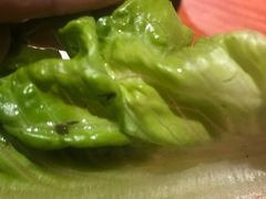 新鲜生菜-山之屋炭火烧肉·生啤畅饮(大朗万科中央公园店)