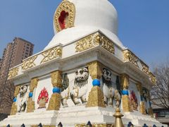 -护国法轮寺