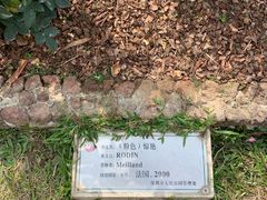 -人民公园(罗湖区)